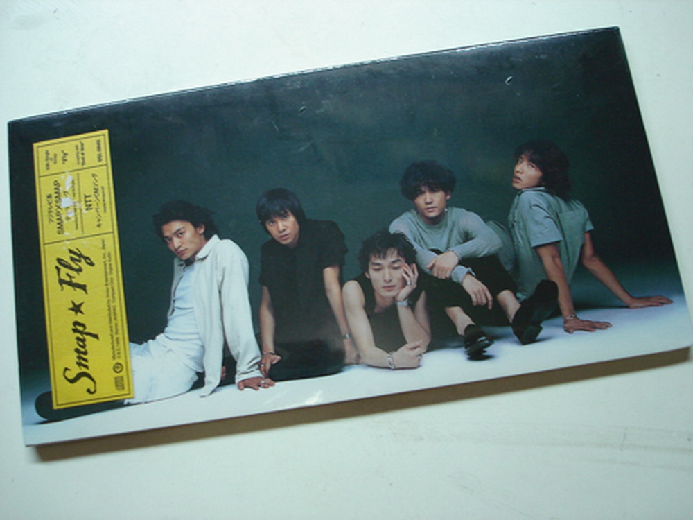 SMAP Fly