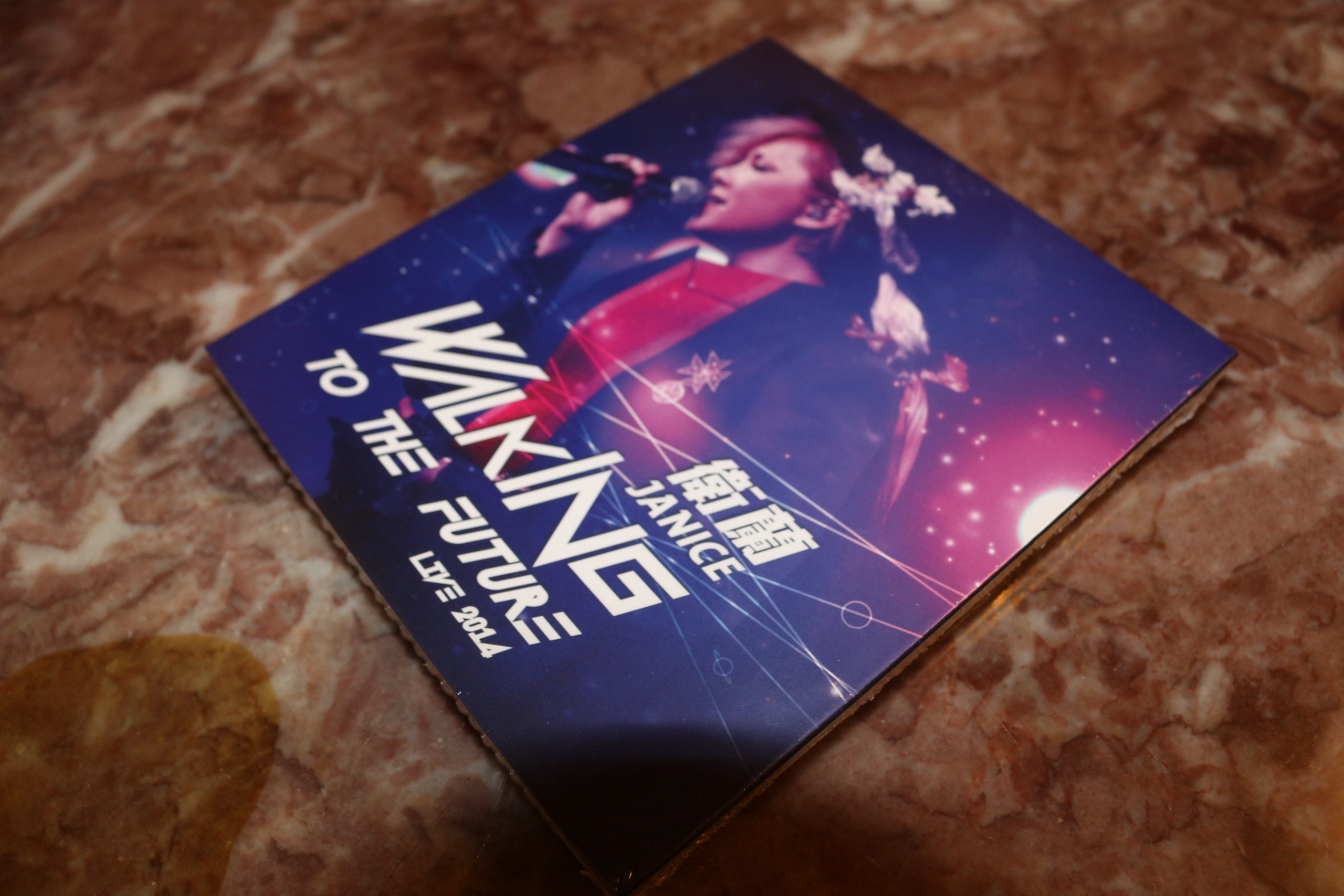 衛蘭 Walking to the future LIVE