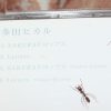 MCD20971-t