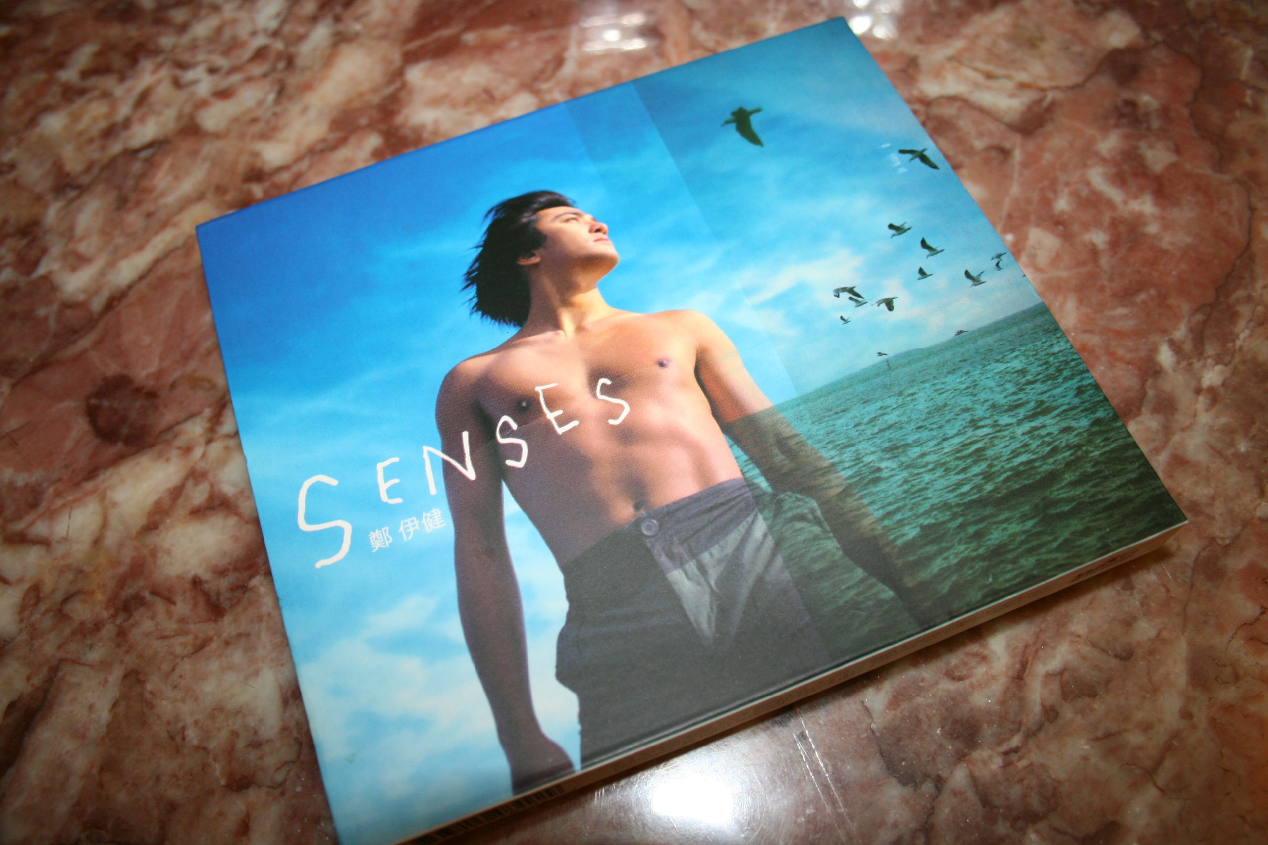 鄭伊健 Senses